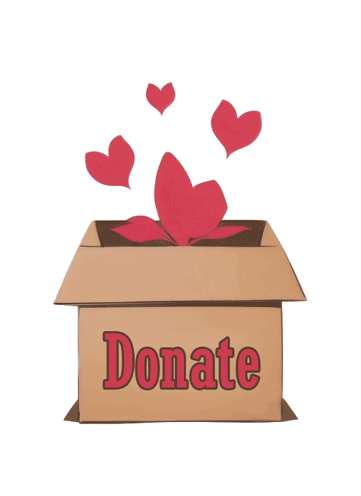 Thursday Night Program